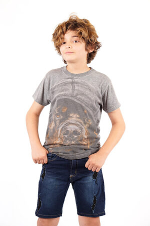 Lionel - Imagen 3